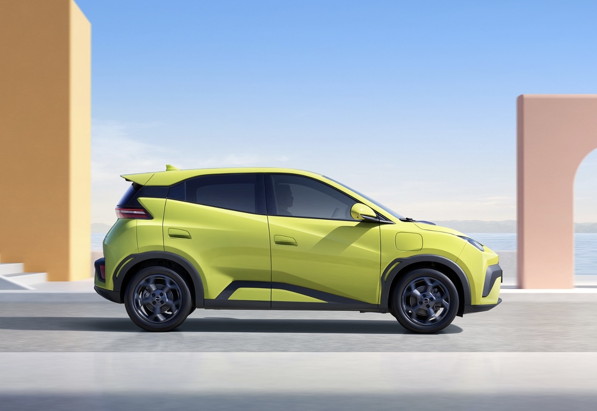 Dolphin Surf 2026 atara review 