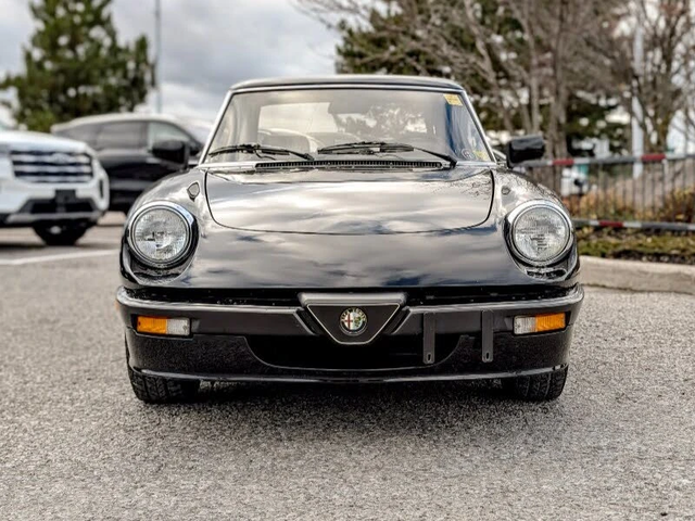 Alfa Romeo Spider 1988 Alfa Romeo Spider Quadrifoglio RWD - автомобили, коли, обяви за нови и употребявани 1