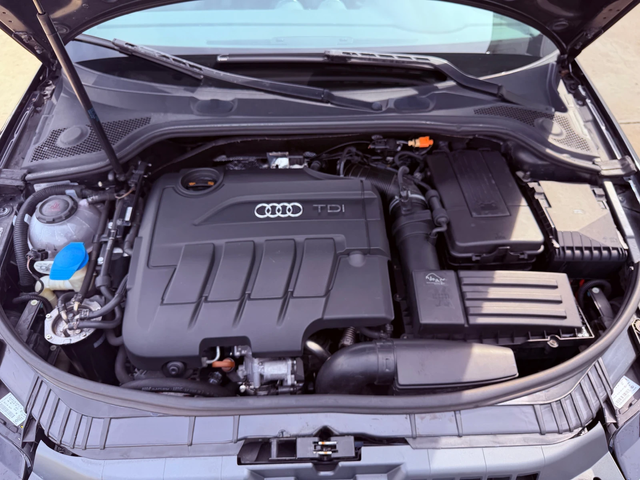 Audi A3 2.0tdi 170k.c* 2x S-line* DSG* Navi* UNIKAT* - автомобили, коли, обяви за нови и употребявани 16