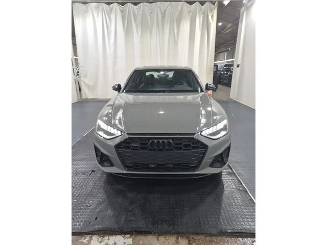 Audi A4 Progressiv / Quattro / Keyless Go / Panorama - автомобили, коли, обяви за нови и употребявани 0