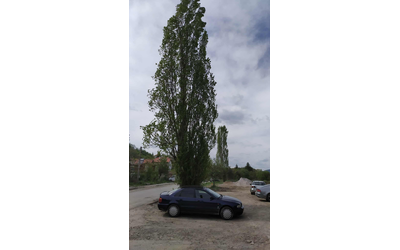 Audi A4 Audi A4 Ауди А4 В5 125 к.с Седан 1995 г. Бензин. Всичко е платено - автомобили, коли, обяви за нови и употребявани 6