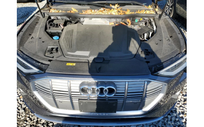 Audi E-Tron PRESTIGE - автомобили, коли, обяви за нови и употребявани 11