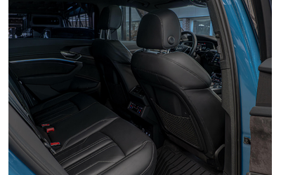 Audi E-Tron 55/Edition/Bang&Olufsen/Distronic/Advance/95kWh - автомобили, коли, обяви за нови и употребявани 7