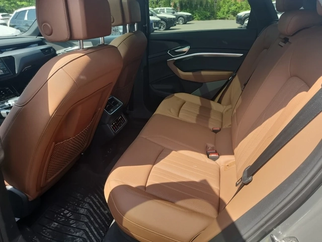 Audi E-Tron Progressiv - автомобили, коли, обяви за нови и употребявани 11