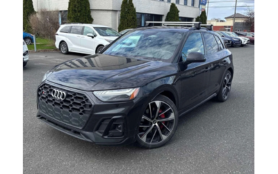 audi-sq5 - 0
