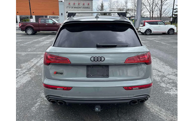 audi-sq5 - 3