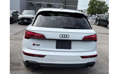 audi-sq5 - 4