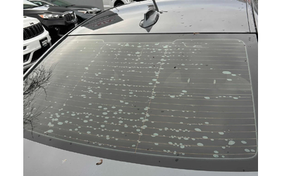 BMW 330 * 330i xDrive * CARFAX * ЦЕНА ДО БГ - автомобили, коли, обяви за нови и употребявани 9