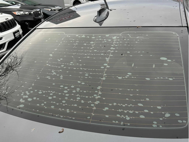 BMW 330 * 330i xDrive * CARFAX * ЦЕНА ДО БГ - автомобили, коли, обяви за нови и употребявани 9