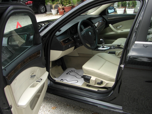 BMW 525 d 3.0d NAVI AVTOMAT FACCE - автомобили, коли, обяви за нови и употребявани 8