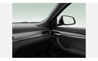 BMW X2 xDrive20d - автомобили, коли, обяви за нови и употребявани 10