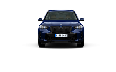 BMW X5 xDrive40d - автомобили, коли, обяви за нови и употребявани 12