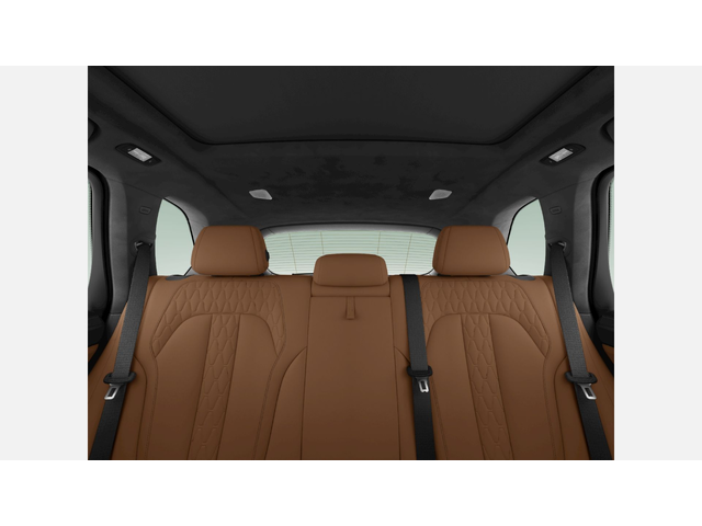 BMW X5 xDrive45e - автомобили, коли, обяви за нови и употребявани 11