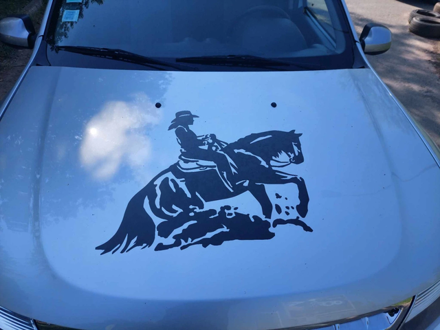 Dacia Duster 1,5dci 110ps 4X4 - автомобили, коли, обяви за нови и употребявани 14