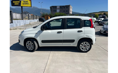 fiat-panda - 2