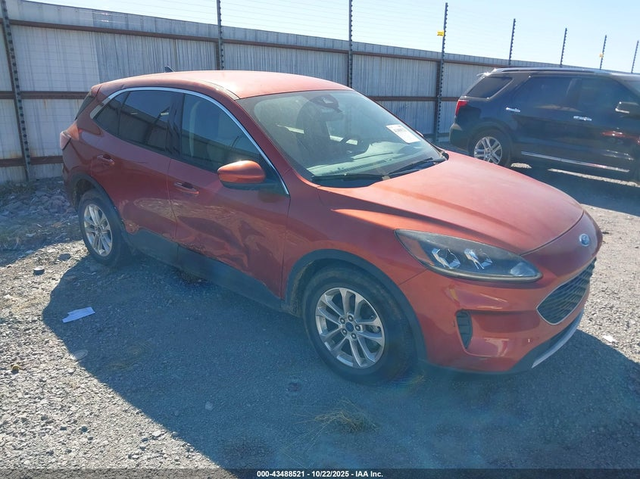 Ford Escape 1.5L I-3 DI, DOHC, VVT, TURBO, 181HP Front Wheel Drive - автомобили, коли, обяви за нови и употребявани 0