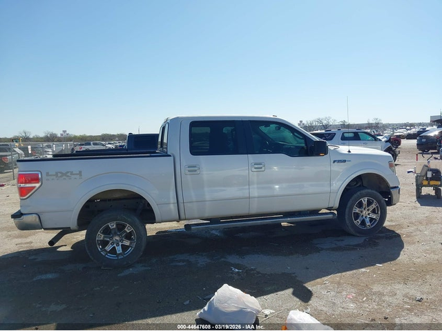 Ford F-150 5.0L V-8 DOHC, VVT, 360HP 4X4 Drive - автомобили, коли, обяви за нови и употребявани 13
