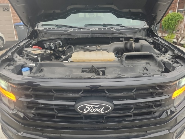 Ford F-150 6cyl - - автомобили, коли, обяви за нови и употребявани 4