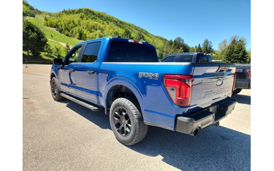 Ford F-150 6cyl - - автомобили, коли, обяви за нови и употребявани 13