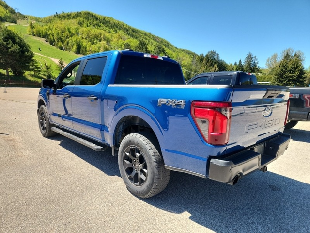 Ford F-150 6cyl - - автомобили, коли, обяви за нови и употребявани 13