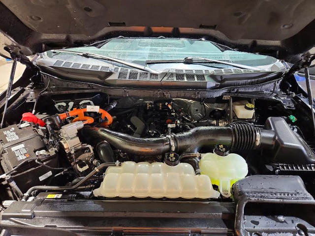 Ford F150 3.5L 6 4X4 W/REAR WHEEL DRV - автомобили, коли, обяви за нови и употребявани 11