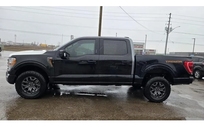Ford F150 TREMOR FULL * КРАЙНА ЦЕНА* - автомобили, коли, обяви за нови и употребявани 6