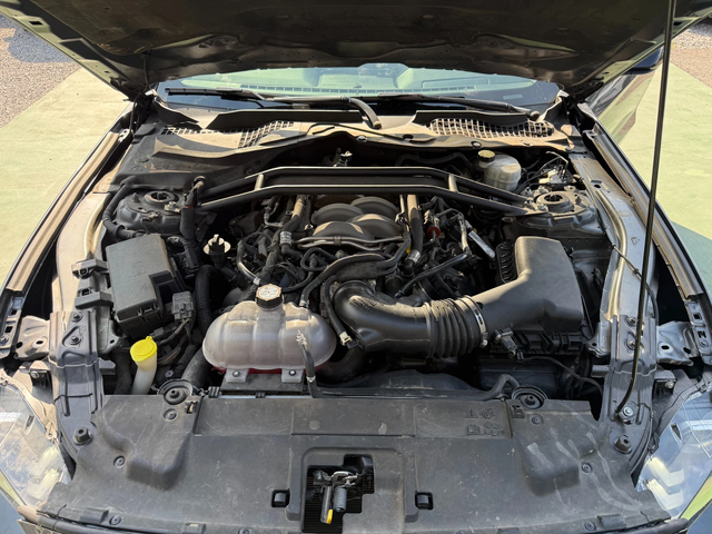 Ford Mustang GT - автомобили, коли, обяви за нови и употребявани 8