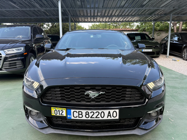 Ford Mustang - автомобили, коли, обяви за нови и употребявани 1