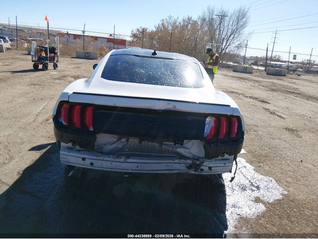 Ford Mustang 2.3L I-4 DI, DOHC, VVT, TURBO, 310HP Rear Wheel Drive - автомобили, коли, обяви за нови и употребявани 16