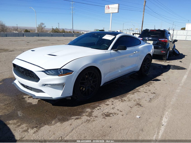 Ford Mustang 2.3L I-4 DI, DOHC, VVT, TURBO, 310HP Rear Wheel Drive - автомобили, коли, обяви за нови и употребявани 1