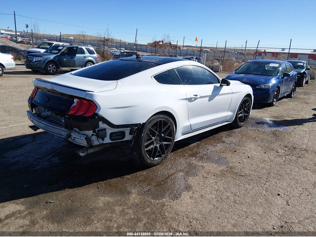 Ford Mustang 2.3L I-4 DI, DOHC, VVT, TURBO, 310HP Rear Wheel Drive - автомобили, коли, обяви за нови и употребявани 3