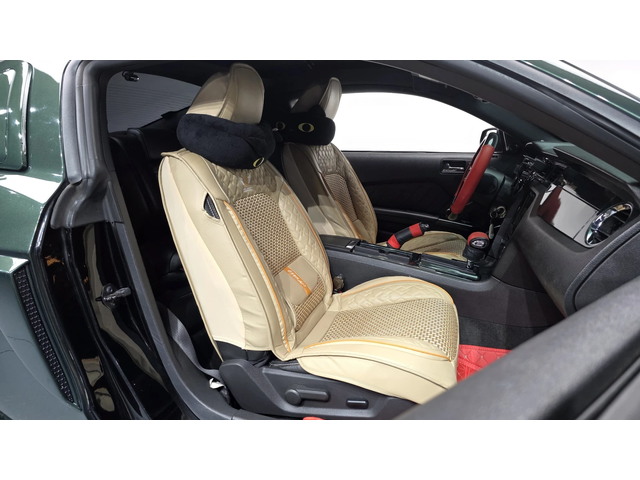 Ford Mustang autogeorge.com - автомобили, коли, обяви за нови и употребявани 8