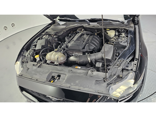 Ford Mustang 2.3L ECOBOOST autogeorge.com - автомобили, коли, обяви за нови и употребявани 5