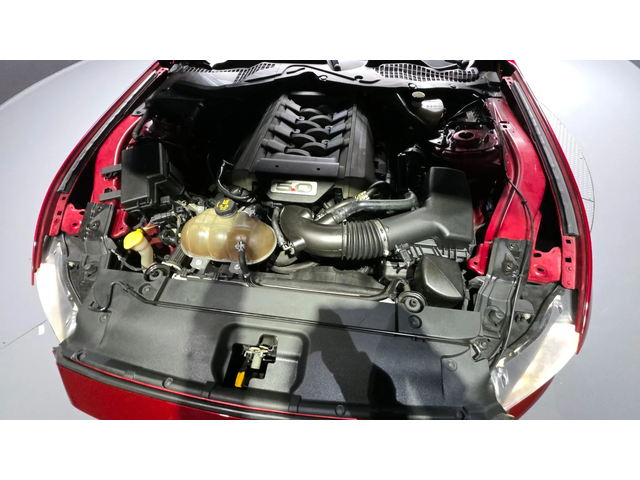 Ford Mustang GT 5.0 autogeorge.com - автомобили, коли, обяви за нови и употребявани 5