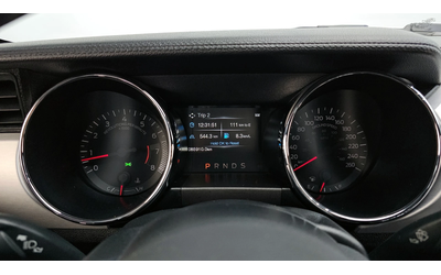 Ford Mustang GT 5.0 autogeorge.com - автомобили, коли, обяви за нови и употребявани 6