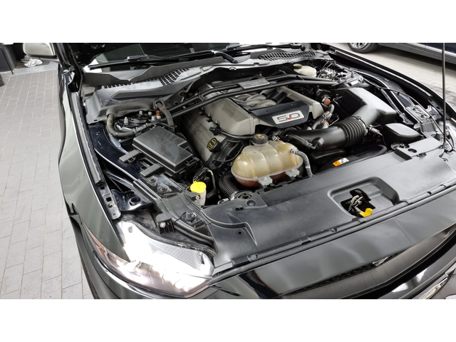 Ford Mustang GT 5.0 autogeorge.com - автомобили, коли, обяви за нови и употребявани 5