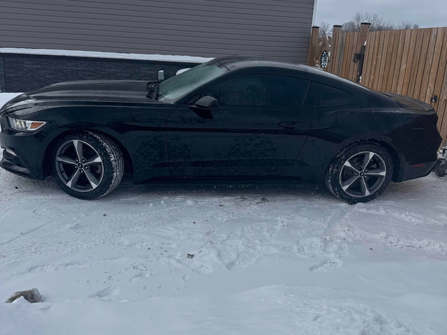 Ford Mustang V6 * ЗАДНА КАМЕРА* КИЙЛЕС* - автомобили, коли, обяви за нови и употребявани 1