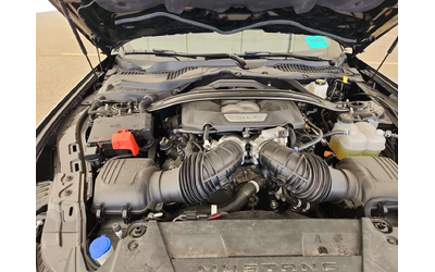 Ford Mustang GT| 5.0L V8| CARFAX| - автомобили, коли, обяви за нови и употребявани 6