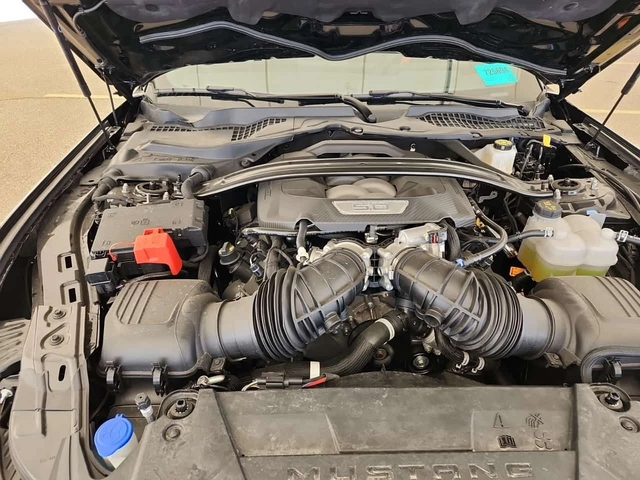 Ford Mustang GT| 5.0L V8| CARFAX| - автомобили, коли, обяви за нови и употребявани 6