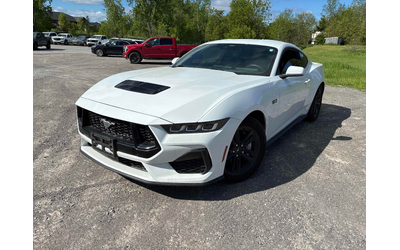 ford-mustang-5-0l-8cyl-rwd - 0