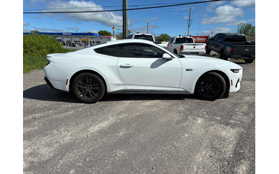 ford-mustang-5-0l-8cyl-rwd - 2