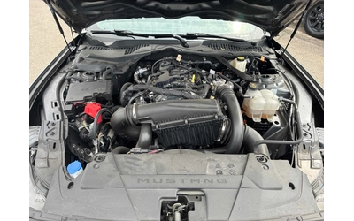 Ford Mustang ECOBOOST - автомобили, коли, обяви за нови и употребявани 11