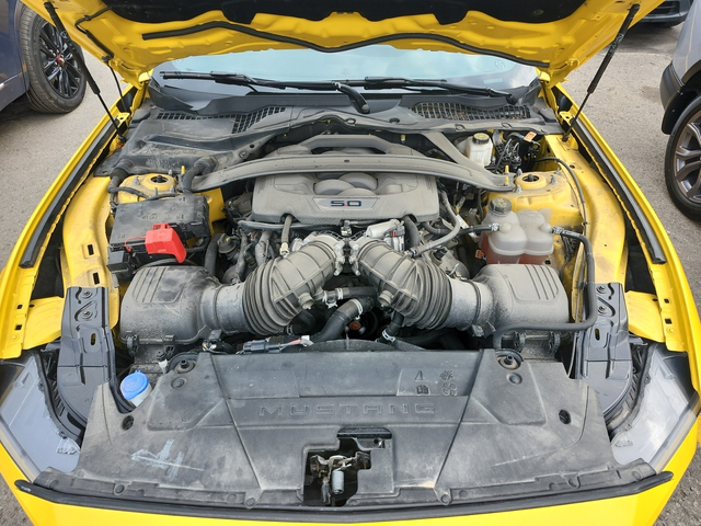 Ford Mustang 5L 8cyl Rear Wheel Drive - автомобили, коли, обяви за нови и употребявани 16