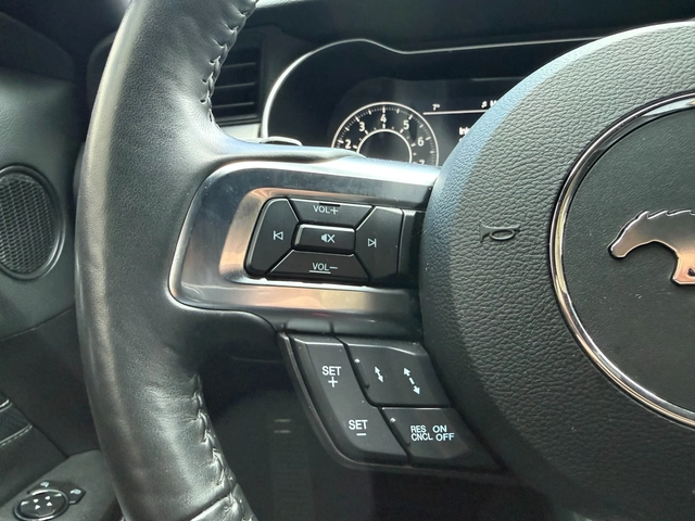Ford Mustang GT PERFORMANCE, SHELBY-ВИЗИЯ - автомобили, коли, обяви за нови и употребявани 14