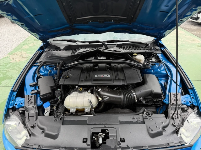 Ford Mustang GT PERFORMANCE, SHELBY-ВИЗИЯ - автомобили, коли, обяви за нови и употребявани 15