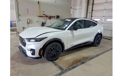 ford-mustang-mach-e - 0
