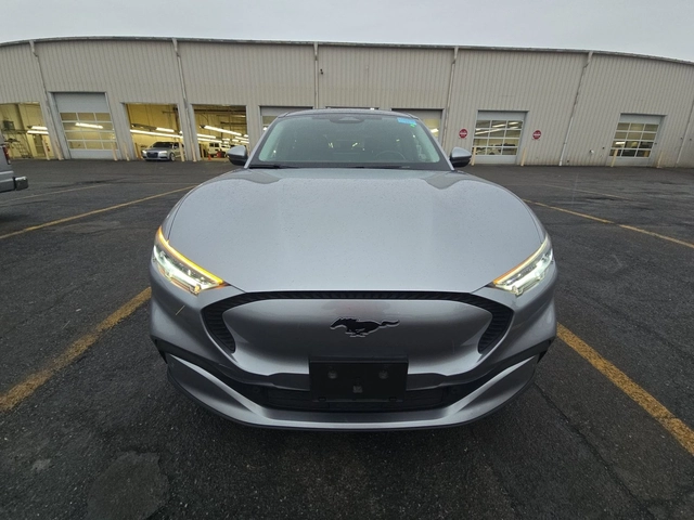 Ford Mustang Mach-E - автомобили, коли, обяви за нови и употребявани 1