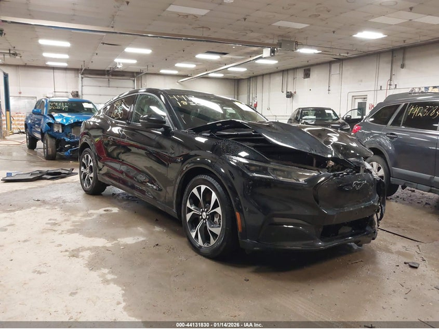 Ford Mustang Mach-E N All Wheel Drive - автомобили, коли, обяви за нови и употребявани 0