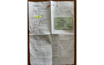 Ford Transit Custom - автомобили, коли, обяви за нови и употребявани 16