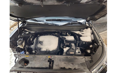 Hyundai Palisade 3.8L 6 ALL WHEEL DRIVE - автомобили, коли, обяви за нови и употребявани 12